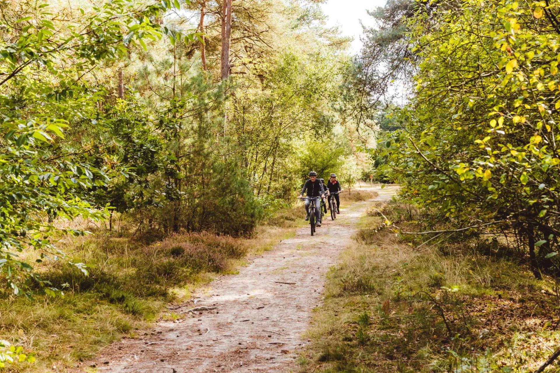 Landgoed Het Grote Zand Hooghalen Eksteriør bilde