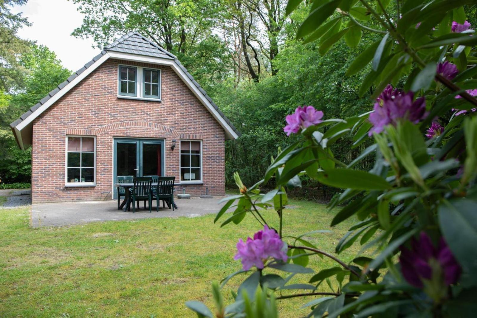 Landgoed Het Grote Zand Hooghalen Rom bilde